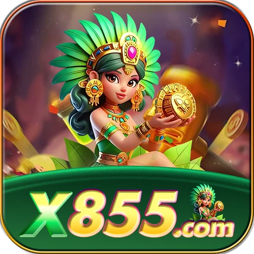 X855.COM